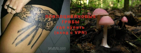 apvp Абаза
