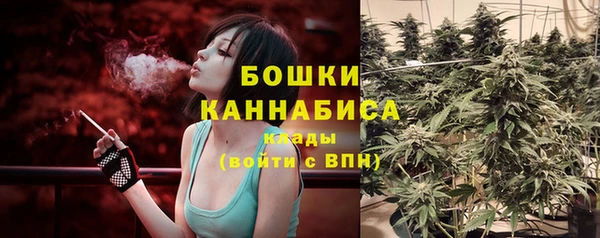 шишки Абинск