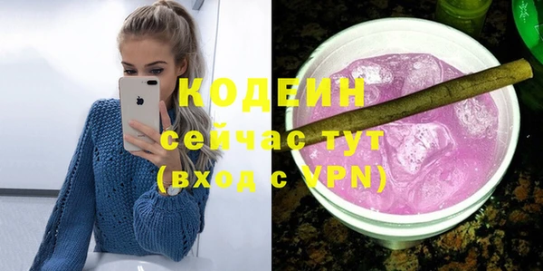индика Новозыбков