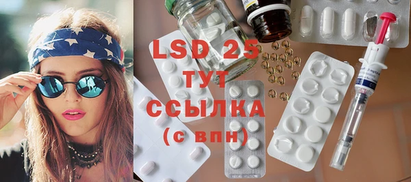 индика Новозыбков
