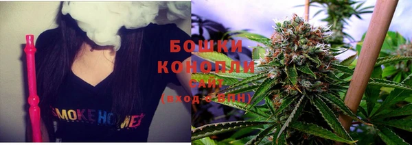 шишки Абинск